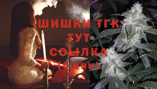 ГАЛЛЮЦИНОГЕННЫЕ ГРИБЫ Балахна