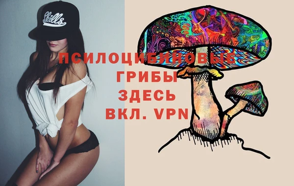 mix Арсеньев
