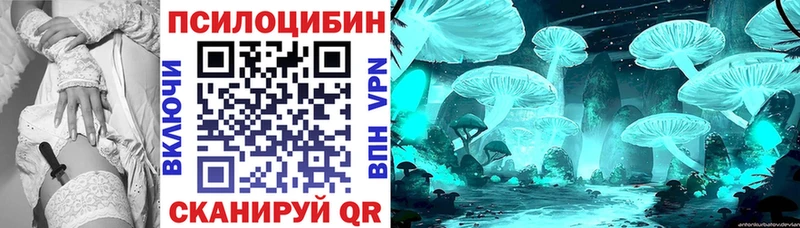 ОМГ ОМГ зеркало  Углич  Псилоцибиновые грибы Cubensis  купить  